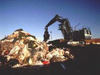 ������� ���� ���� ����������� ����������� �������