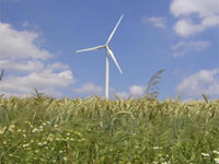 ������� �������� ����������, �������� ������ ��������