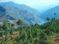 ��������� ������� �� ���� ���� 79 ���. ��������