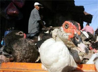 ��� ��������� ������ ��������� �������� � ������� �������