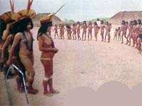 ������� �������� � ���� �����