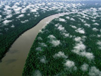 �� ������������ ������ ����� ������� �� �������