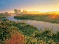 � ������ �������� ������� ����