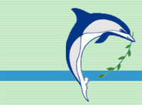 �������� ��������������� ���������� ��������� � ��� � 20 ���!