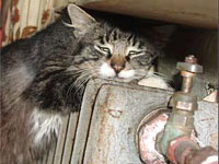 �� ���������� ��� ������� ������� �����