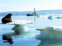 ���������� ���������� ����� ���������, ����� ������� ����������� ���