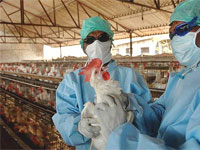 � ��������� �� "�������� ������" ������ 4-������ �������