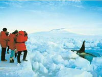 ���������� �������� ������������� ���