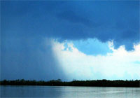 Французы научились получать энергию из дождя