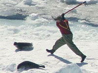 � ������ ��������� ����� ����� �� �������� �������. ������� ����������