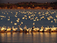 ����������� ���� �������� ������������� ����������