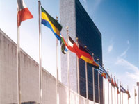 ��� �������� � �������� ������� �� ������ �� ������