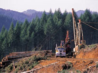 �������� ������� ����������� ����� ���������� �� ��������