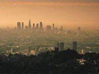 ������� � ������ �����