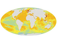 ����� �������� �������� ������ ���������� �� ������������ ��������