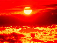 2008-� ��� ����� ����� �� �������� ������