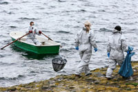 � ������ ������������� ������� �������� ������