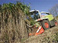 ����� ������������� ������� ����������� � ��������