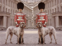 ���������� ����� ��������� � ����������� ����������