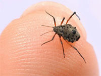 ���������� ���������� ��������� � ������ ��� ��������