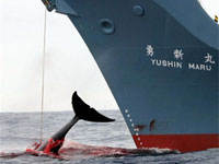 ������ ���������� �� ����� �� �������� �����