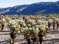 8 ��������� �������� �������� �� ���� ���� � �������