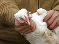 ��������� ����� ������� ��������� �� ����� ���������