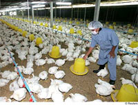 ������ ��������, ��� ������� ���������� ������� �������