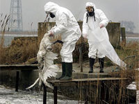 � ������ ������� ����� ���� �������� ������