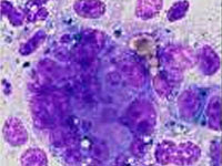 ��� ������ ���������?