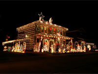 Французские экологи – против новогодней иллюминации