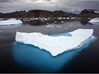 ������ ������������� ��������� ������� ������������ �����������