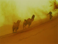 ����� ����� ������� ��������� ����