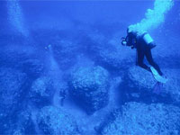 ������ �������� ������� ���������� ��� ��� ������� ����