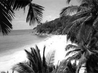 ���� ����� �� ����� ������������� ����������