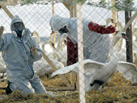 � ������ ������������� ����� ������� �������� ������