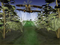 �� ������� ������� ������ ����������