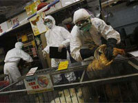 �� ��� ����� ������������ ������� �������� ������