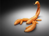 �� ������� ���������� ��� ����� ��������������� ���������� �� �����������