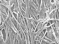 Шведы создали нанобумагу, которая прочнее чугуна