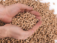 Экологией все больше интересуются бизнесмены, общественные организации и дети