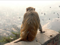 ����� �������� �������� ���������