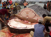 ������ ������ ������������