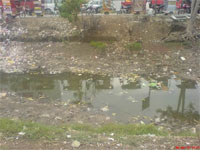 ������ ������� ������� �������������: ����������� ������ � ����� ����� �����������