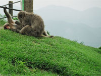 ������� �������� ��������� ����