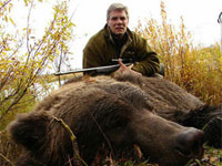 ������ ��� ������������ ���������� 1% ��������