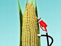 � �������� ������� ������ ����� �� ������������ ����������