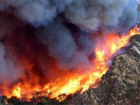 �������������� ������ �������� � ������ 8 ���. ���� ��2