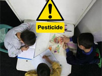 Пестициды влияют на уровень IQ у детей