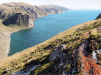 ��� �������� ���� �������